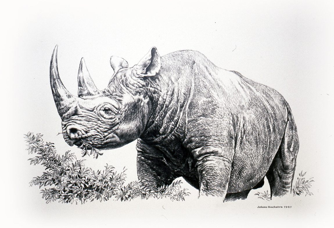  - black-rhino-pencils-1997-johan-hoekstra-wildlife-art