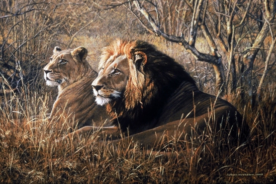 Lion Pair (Big Cat Mural) - 1998 Johan Hoekstra Wildlife Art
