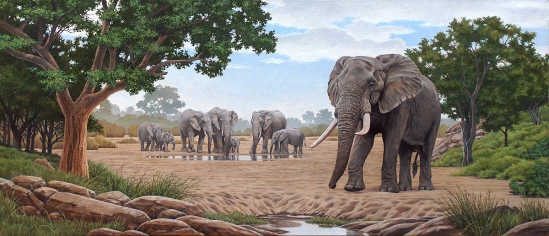 Elephant Herd (not dated) - Johan Hoekstra Wildlife Art