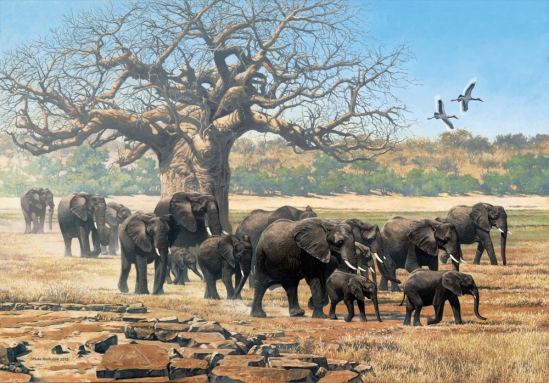 Elephant Herd with Saddle-billed Storks and Baobab - 2003 Johan Hoekstra Wildlife Art