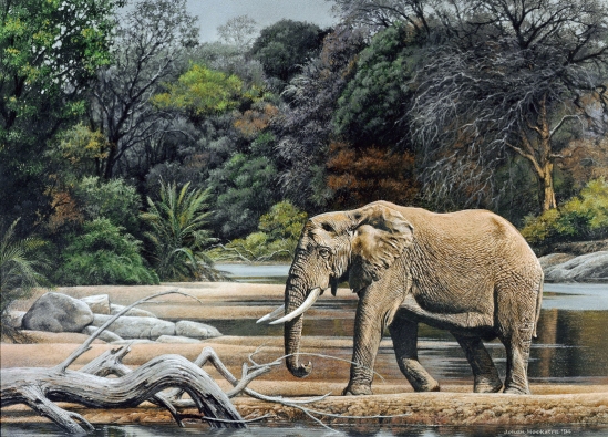 Lone Elephant 1994 - Johan Hoekstra Wildlife Art